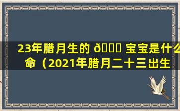 23年腊月生的 🐕 宝宝是什么命（2021年腊月二十三出生 🌷 的孩子属什么）